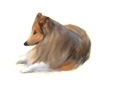 Ce forum est verrouillé, vous ne pouvez pas poster, ni répondre, ni éditer les sujets. Ce forum est verrouillé, vous ne pouvez pas poster, ni répondre, ni éditer les sujets.