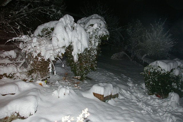 imgp2113.jpg
