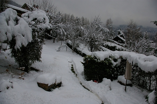 imgp2114.jpg
