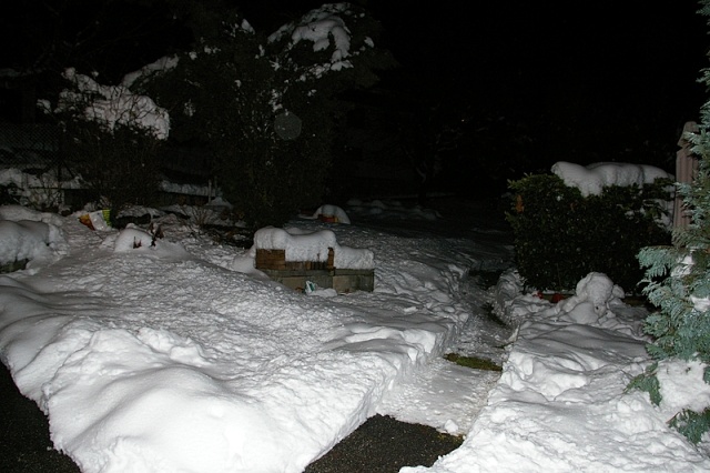 imgp2116.jpg