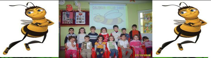 OKUL ÖNCESİ EĞİTİM PAYLAŞIM SİTESİ