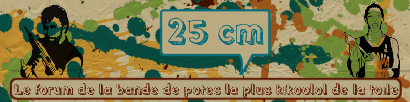 25cm, Anims' et leurs potes