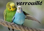 Forum Verrouillé