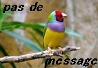 Pas de nouveaux messages Pas de nouveaux messages