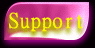 Support Team Support Team