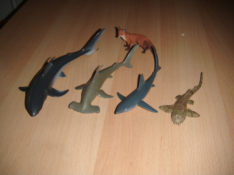 wobbegong shark toy