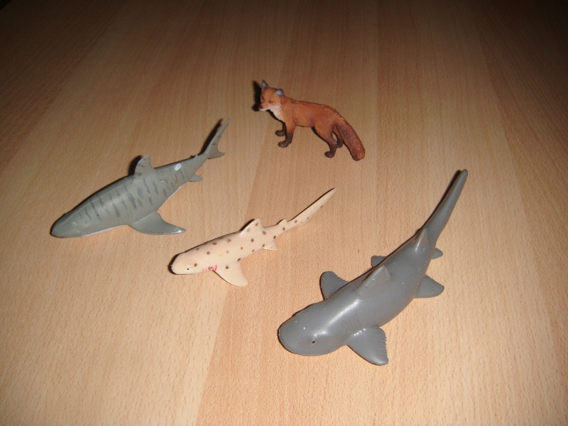 saw shark toy