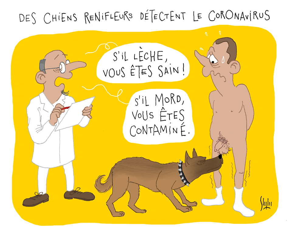 chiens10.png