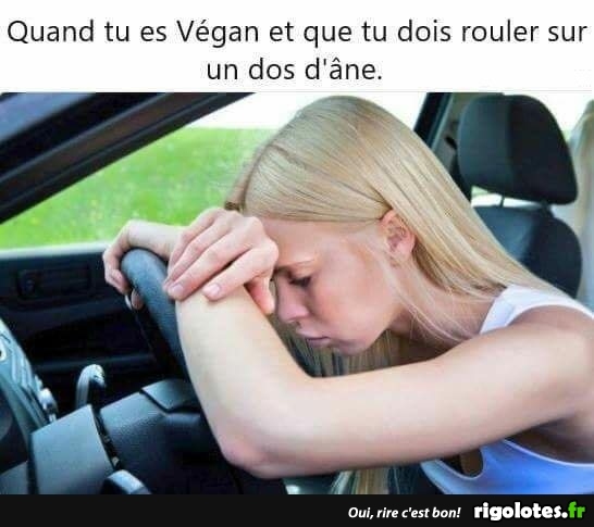 vegan10.jpg